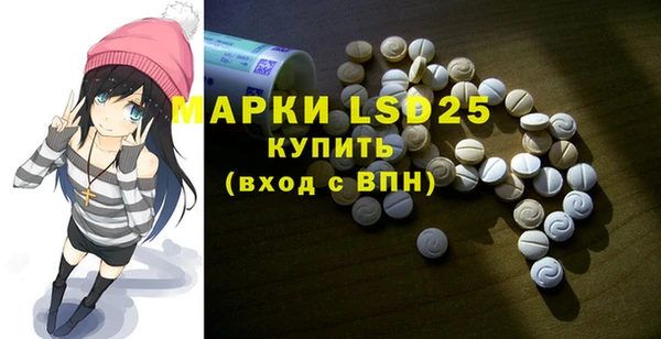 прущие грибы Михайловка