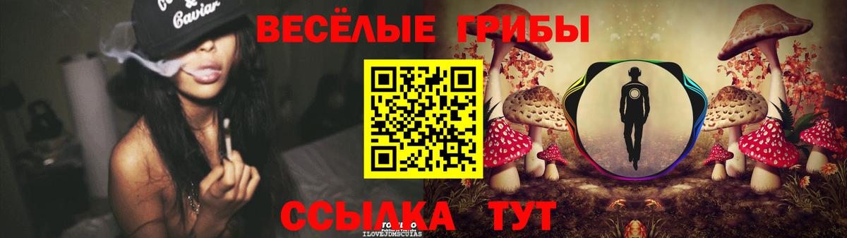 Россия  Галлюциногенные грибы GOLDEN TEACHER  наркошоп  Вход с VPN 